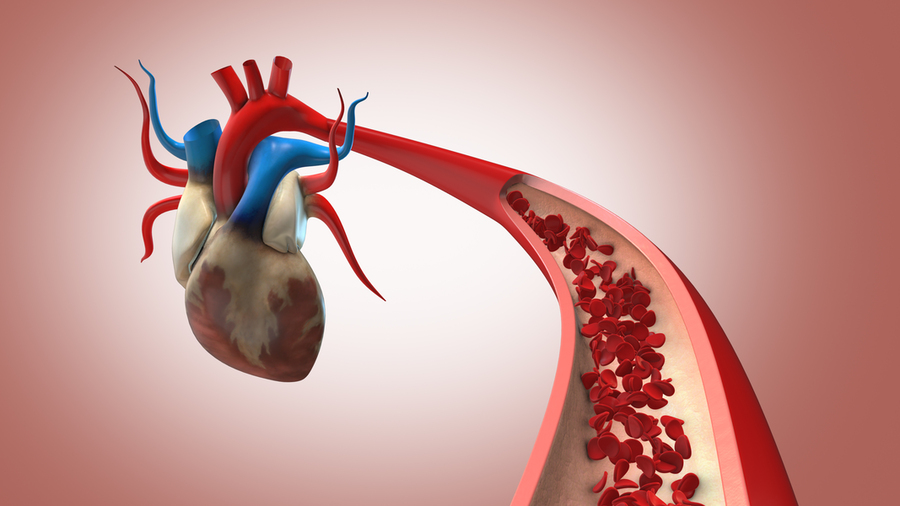 illustration of red blood cells moving through a vessel toward the heart